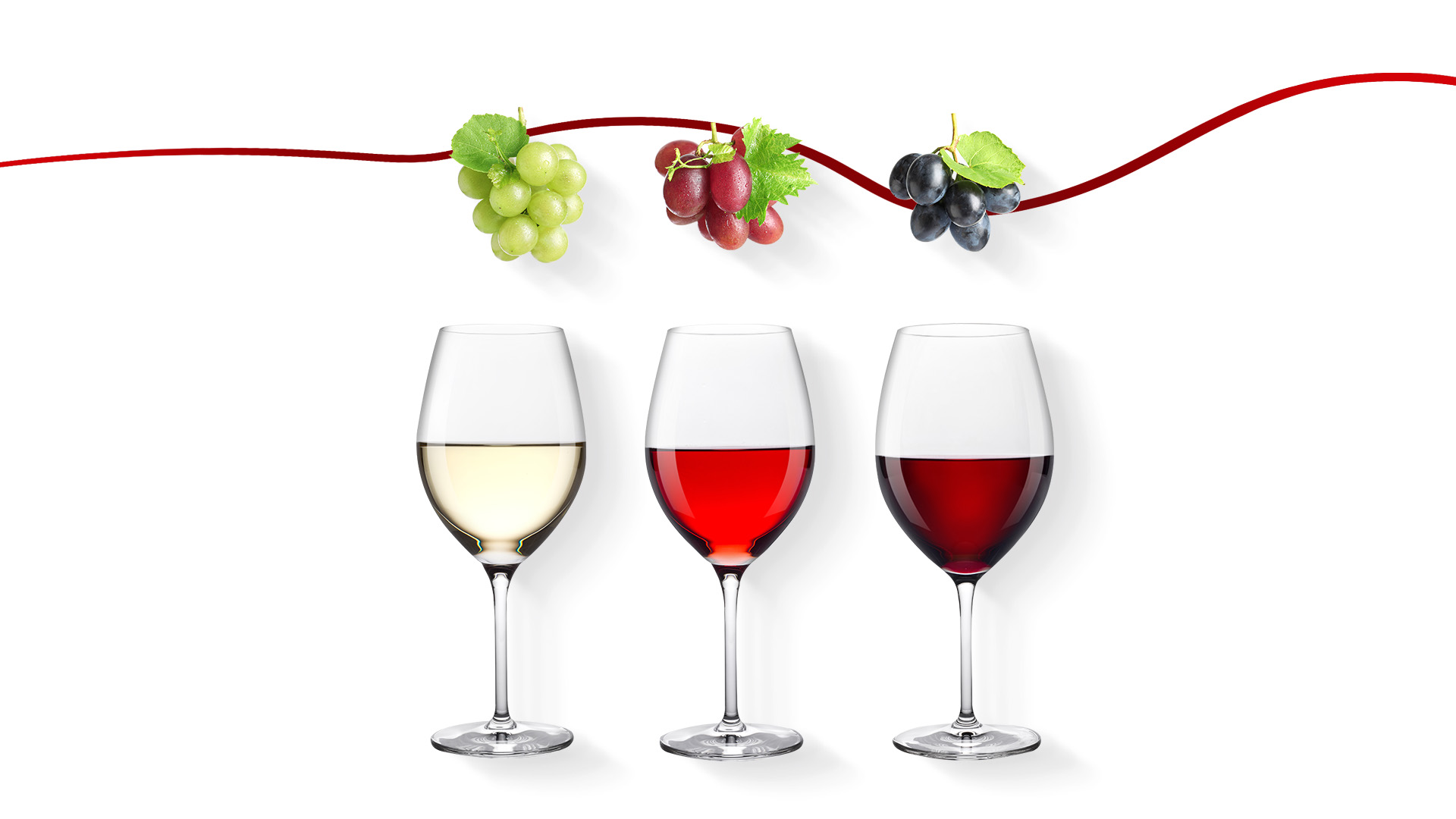 Enos Project Campaign Greece Extra Poster Assets 2