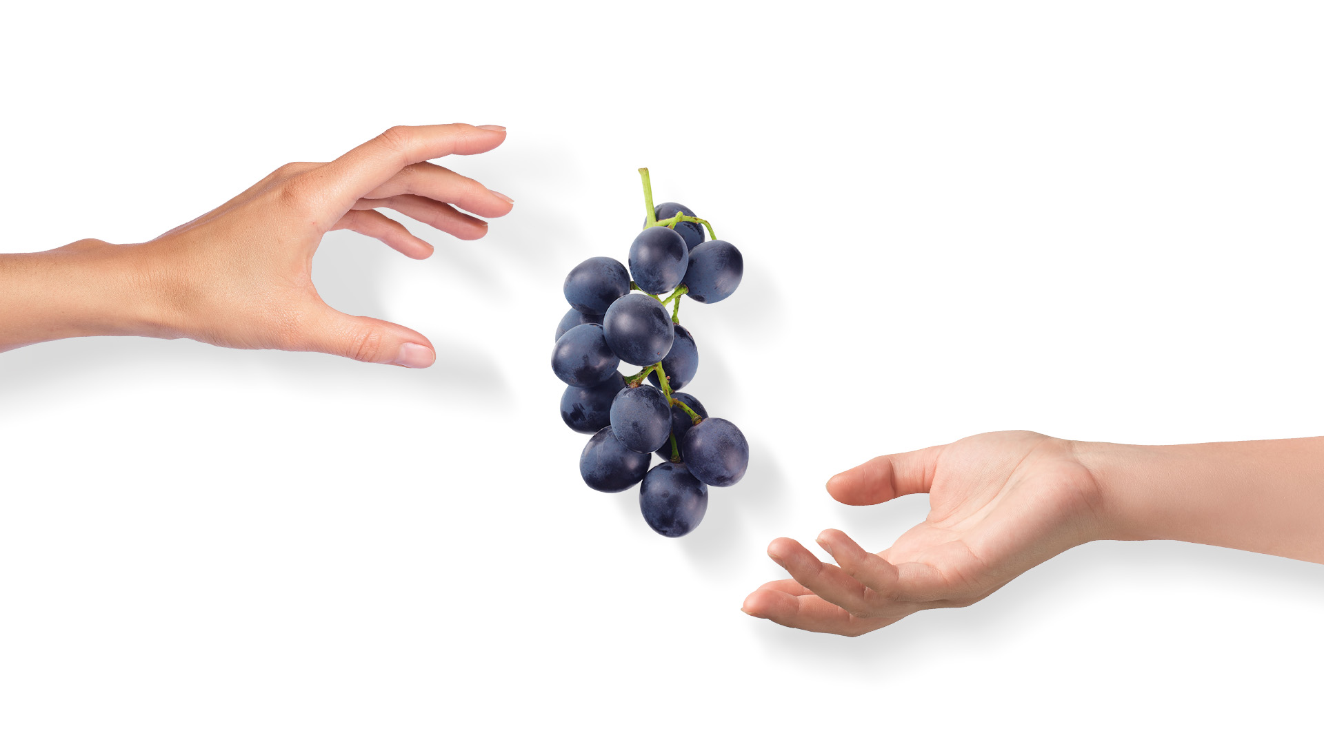 Enos Project Campaign Greece Extra Poster Assets 3