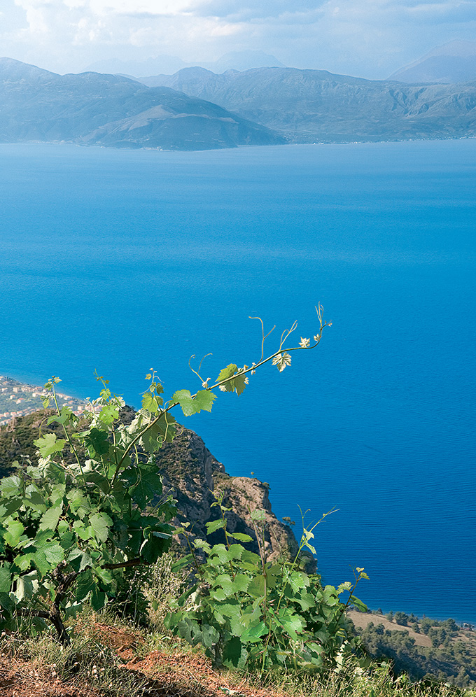 Wines Of Greece Project Branding Greek Wine 360 Campaign Blue Sea